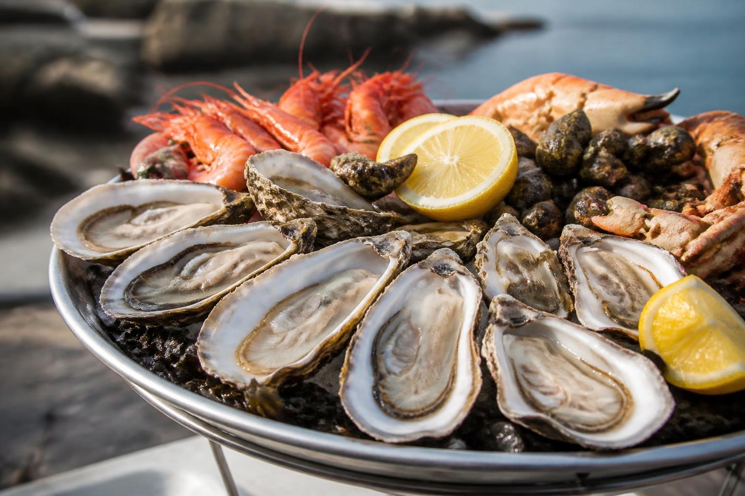 Huîtres de Cancale fraîches présentées sur plateau